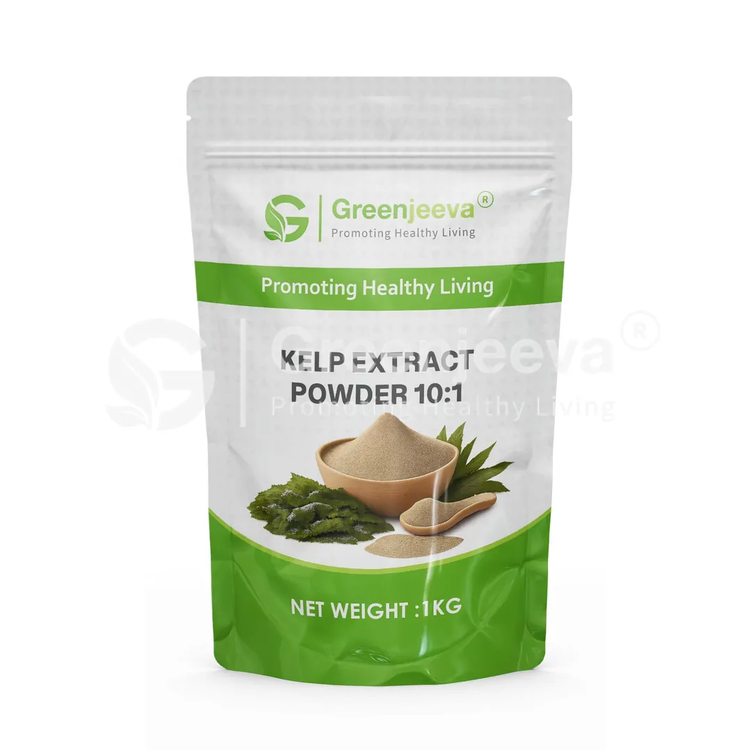 Kelp Extract Powder 10 1 Pouch